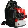 Садовая воздуходувка ранцевая EVOline BLG 42 BP